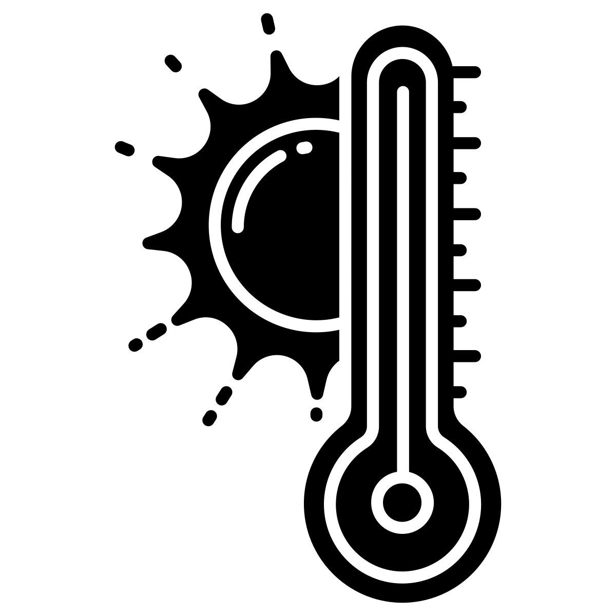 temperature icon
