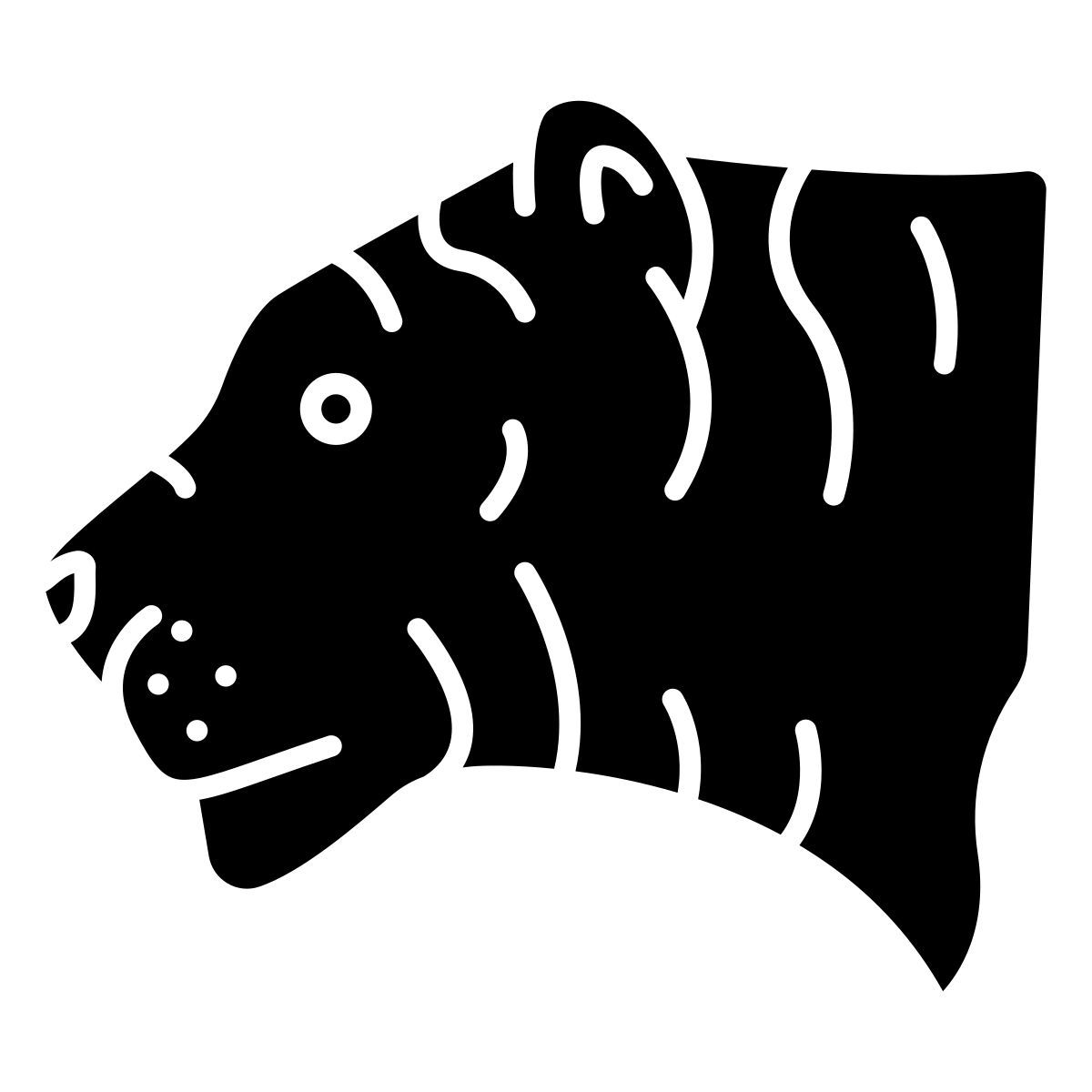 tiger icon