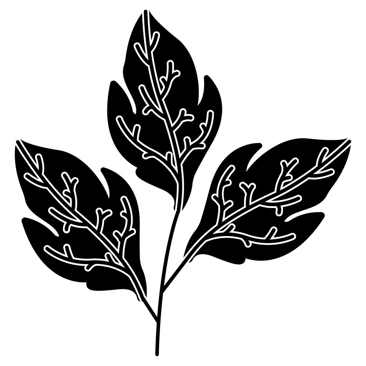 tomato icon