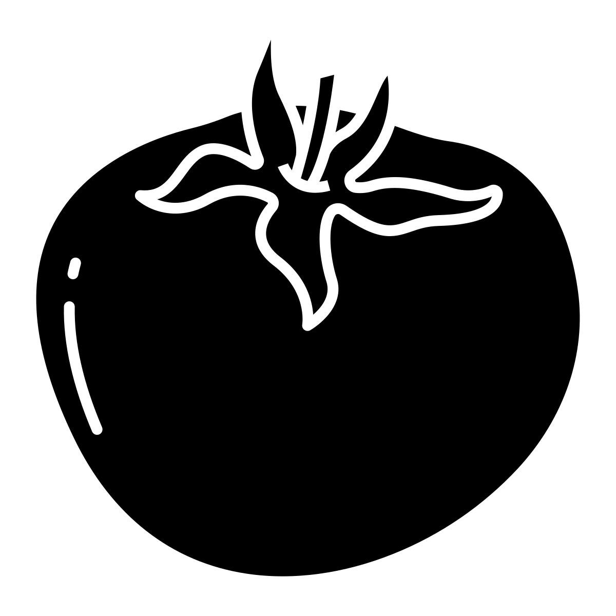 tomato icon