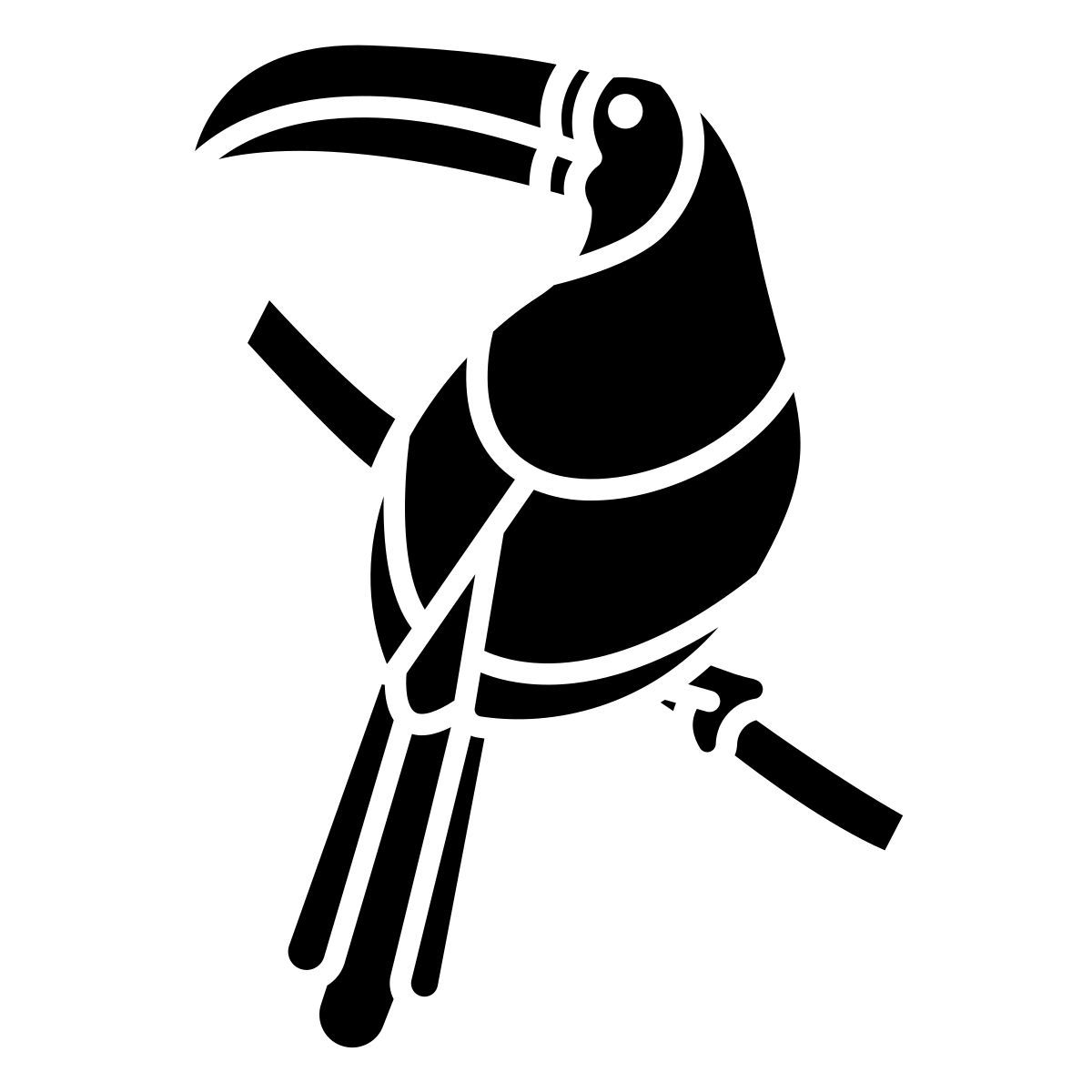 toucan icon