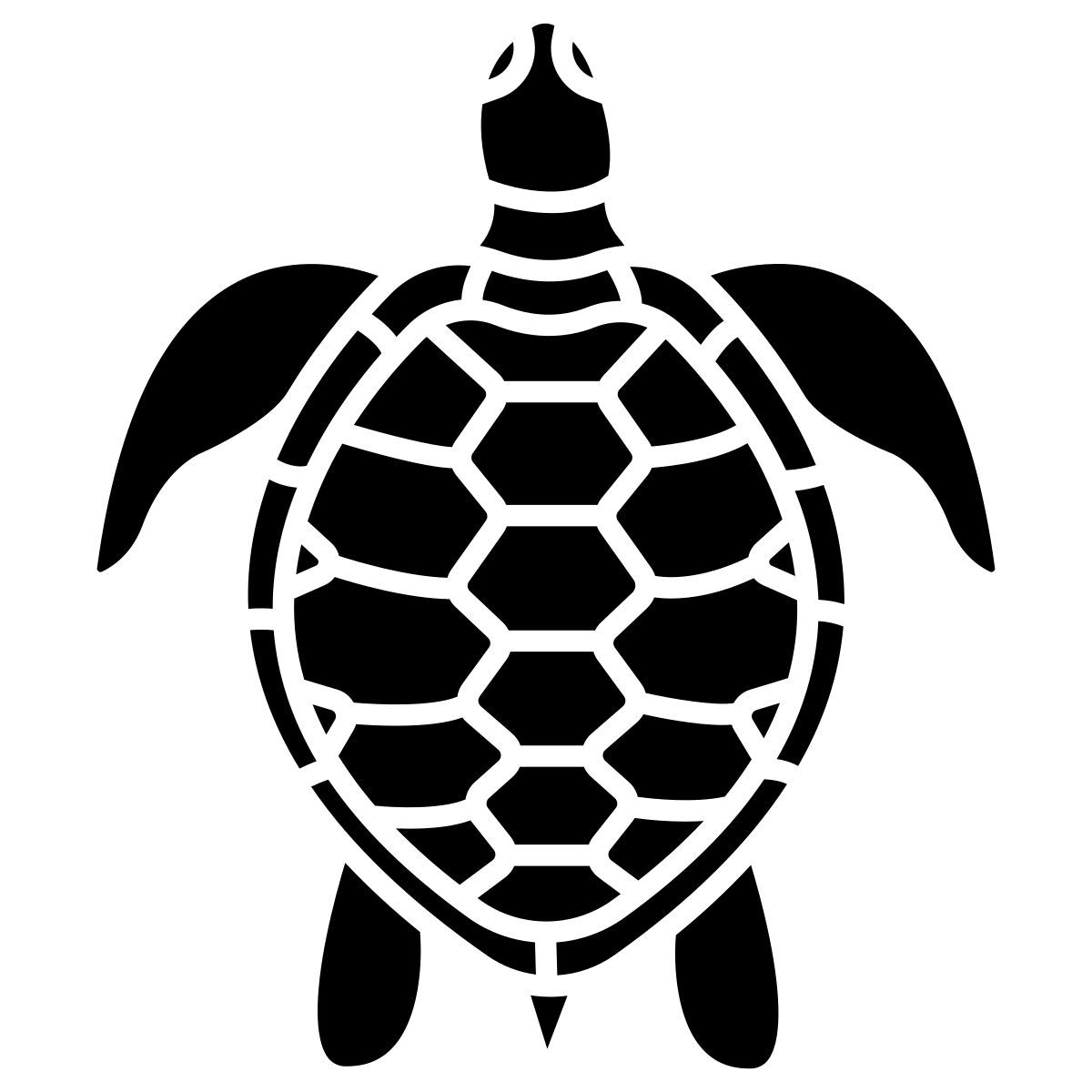 turtle icon