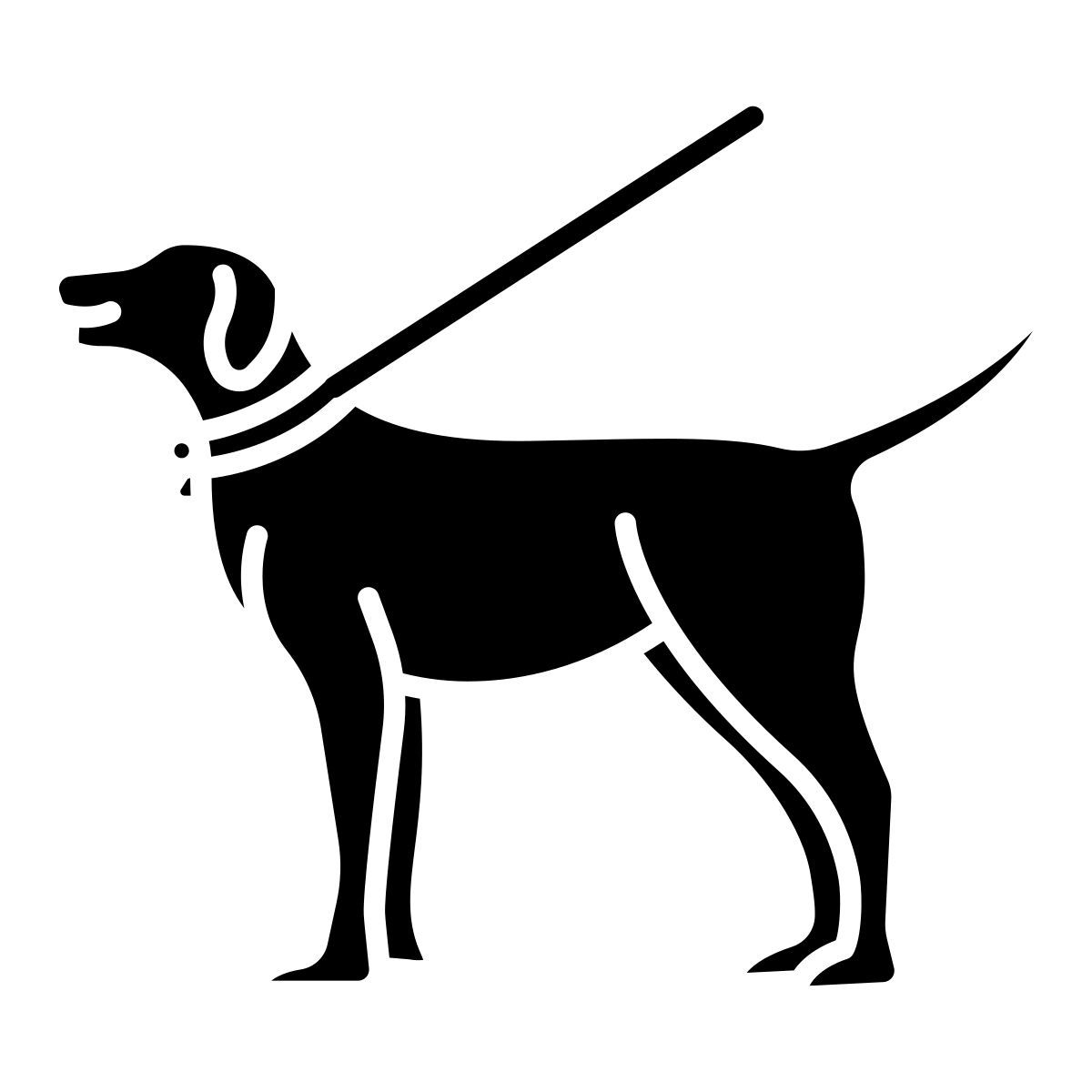 walking the dog icon