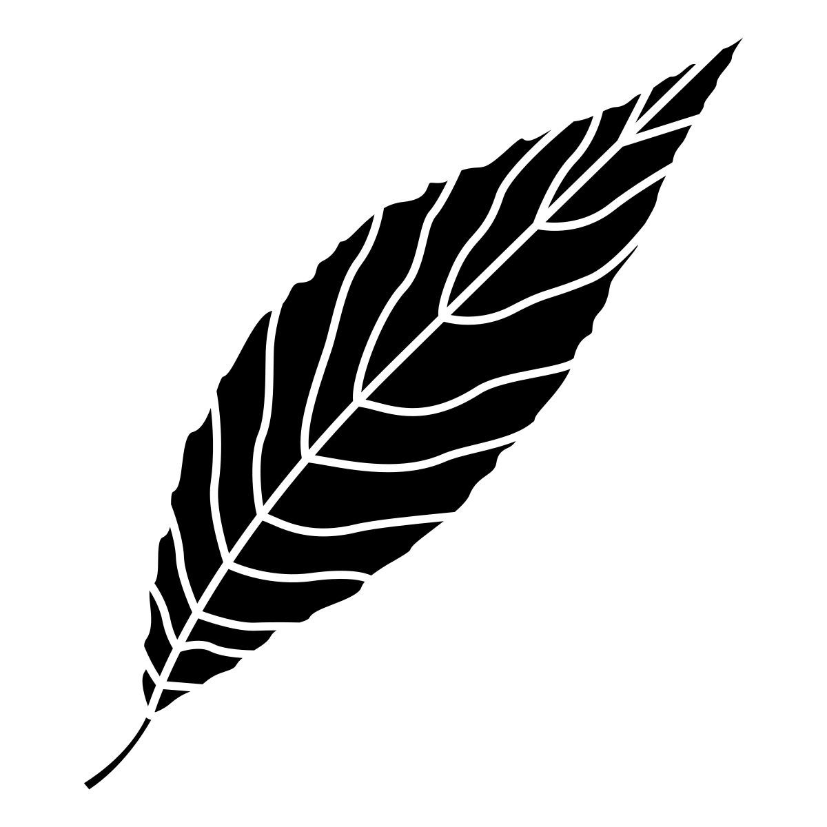 willow icon