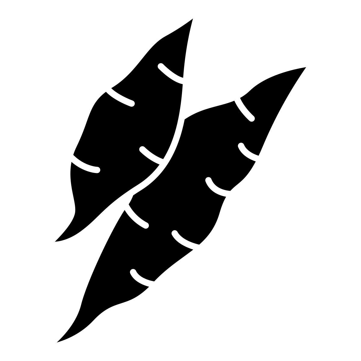 yucca icon