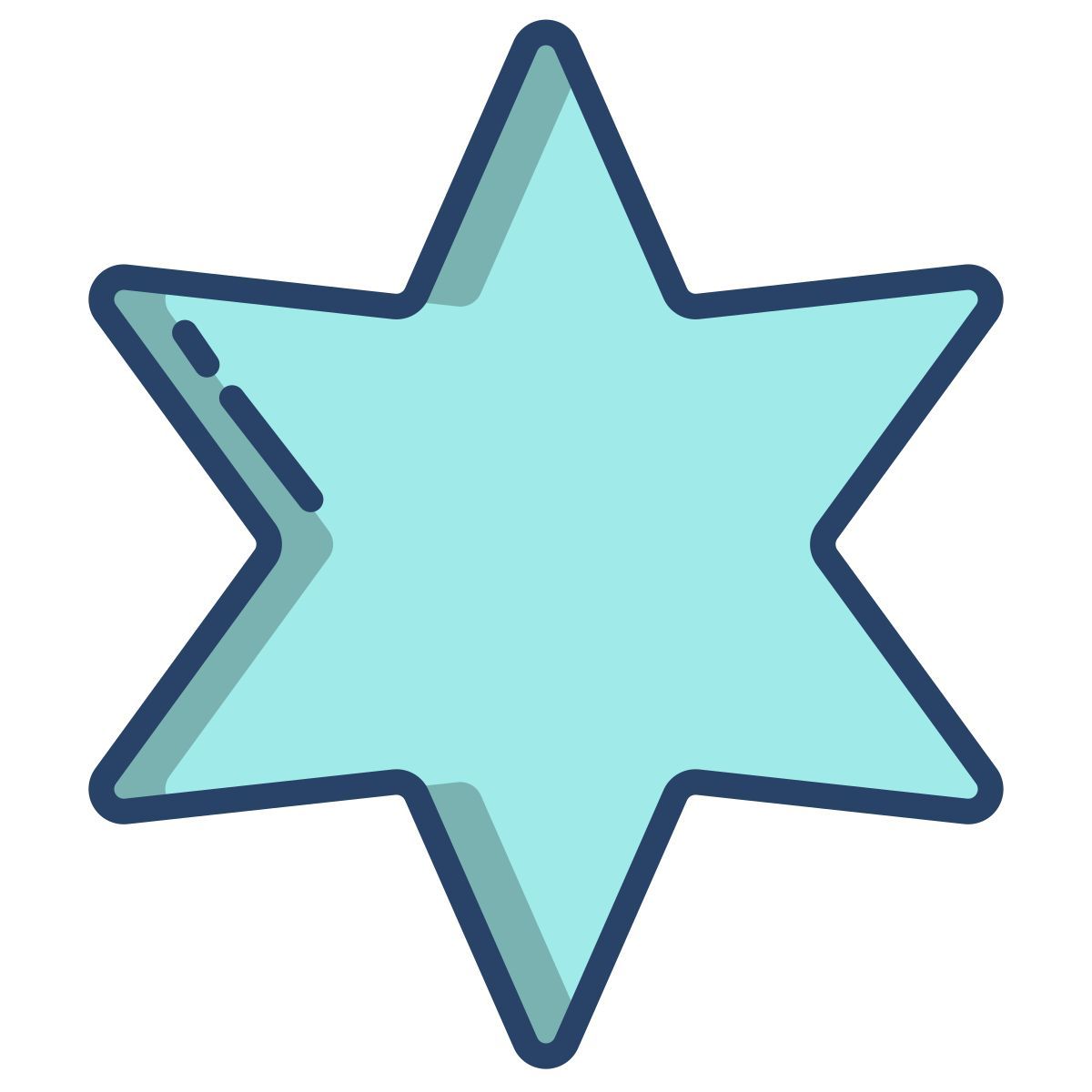 6 point star icon