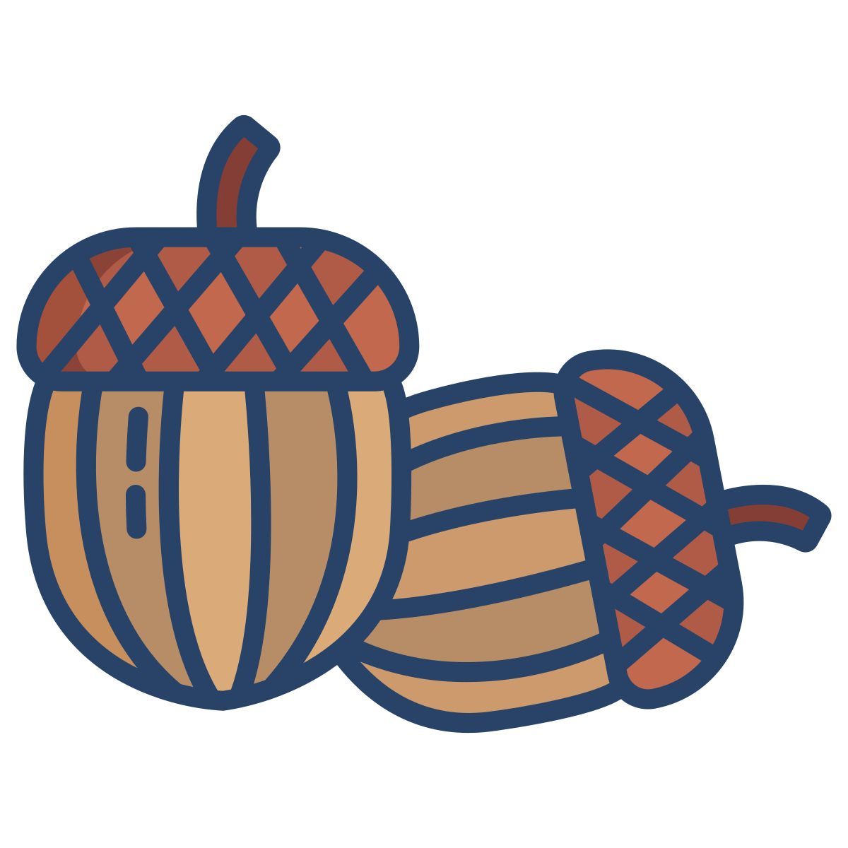 acorn icon