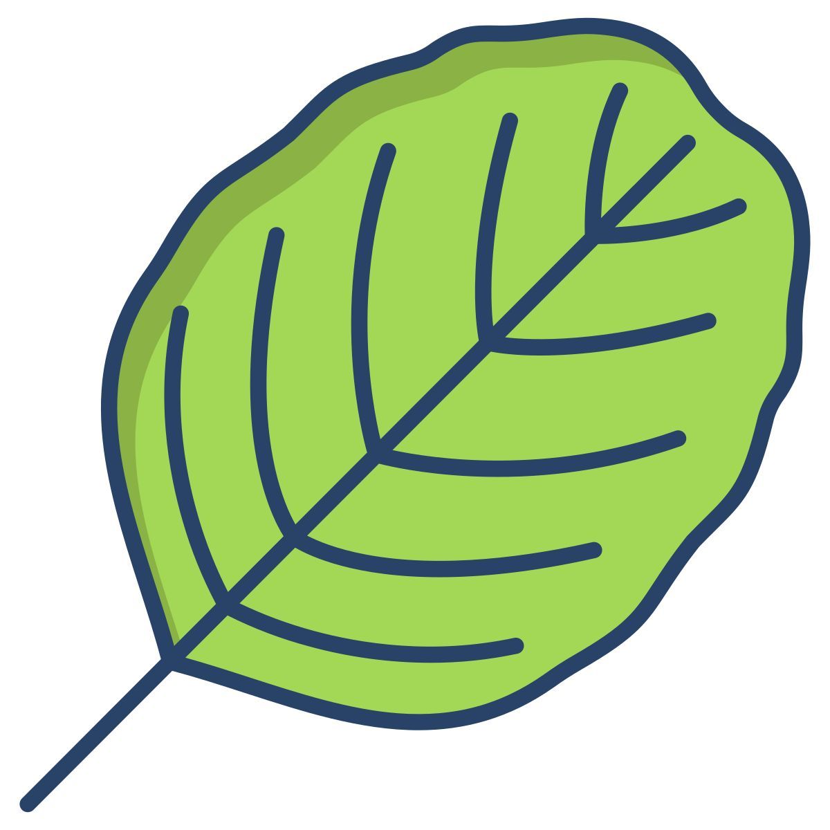 alder leaf icon