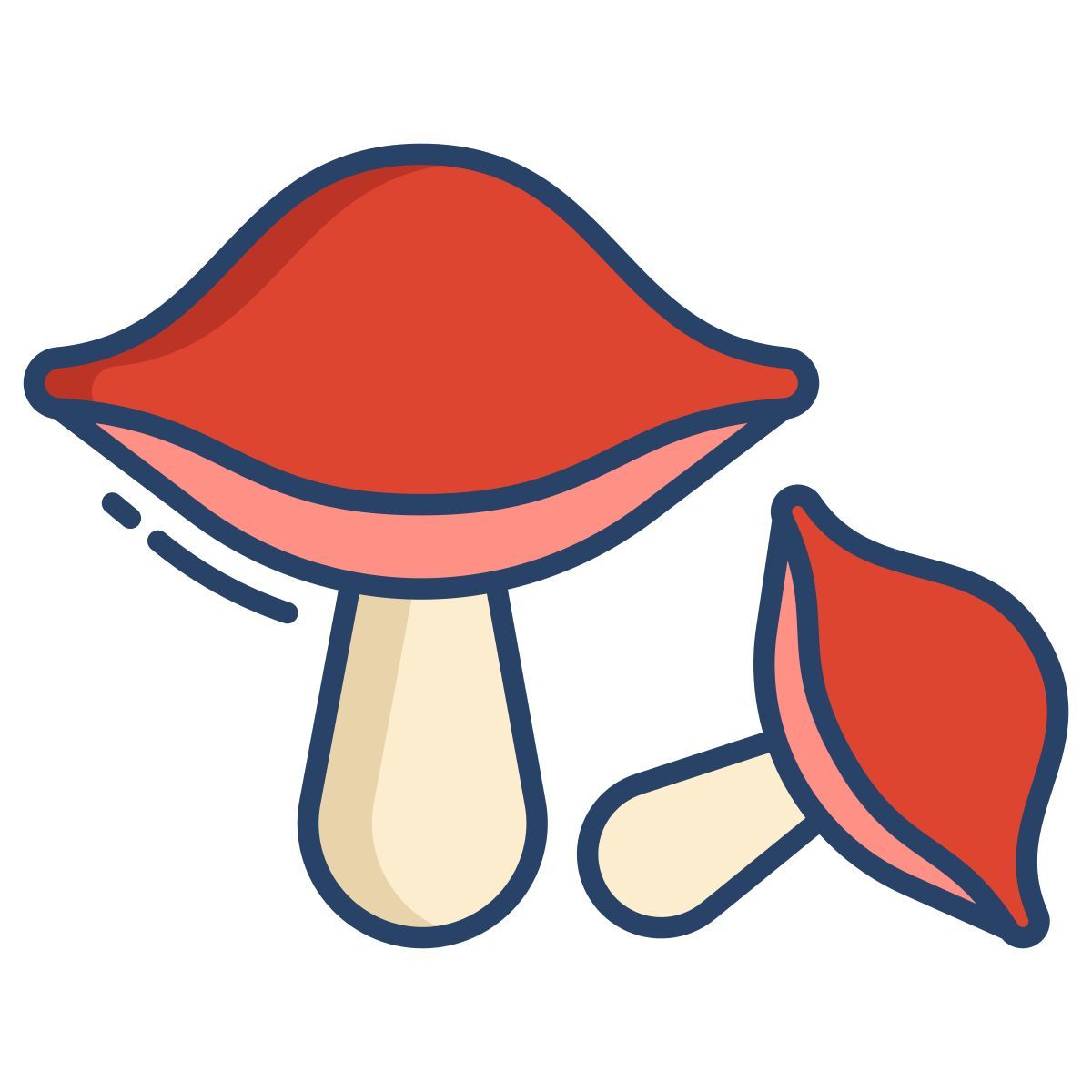 amanita icon