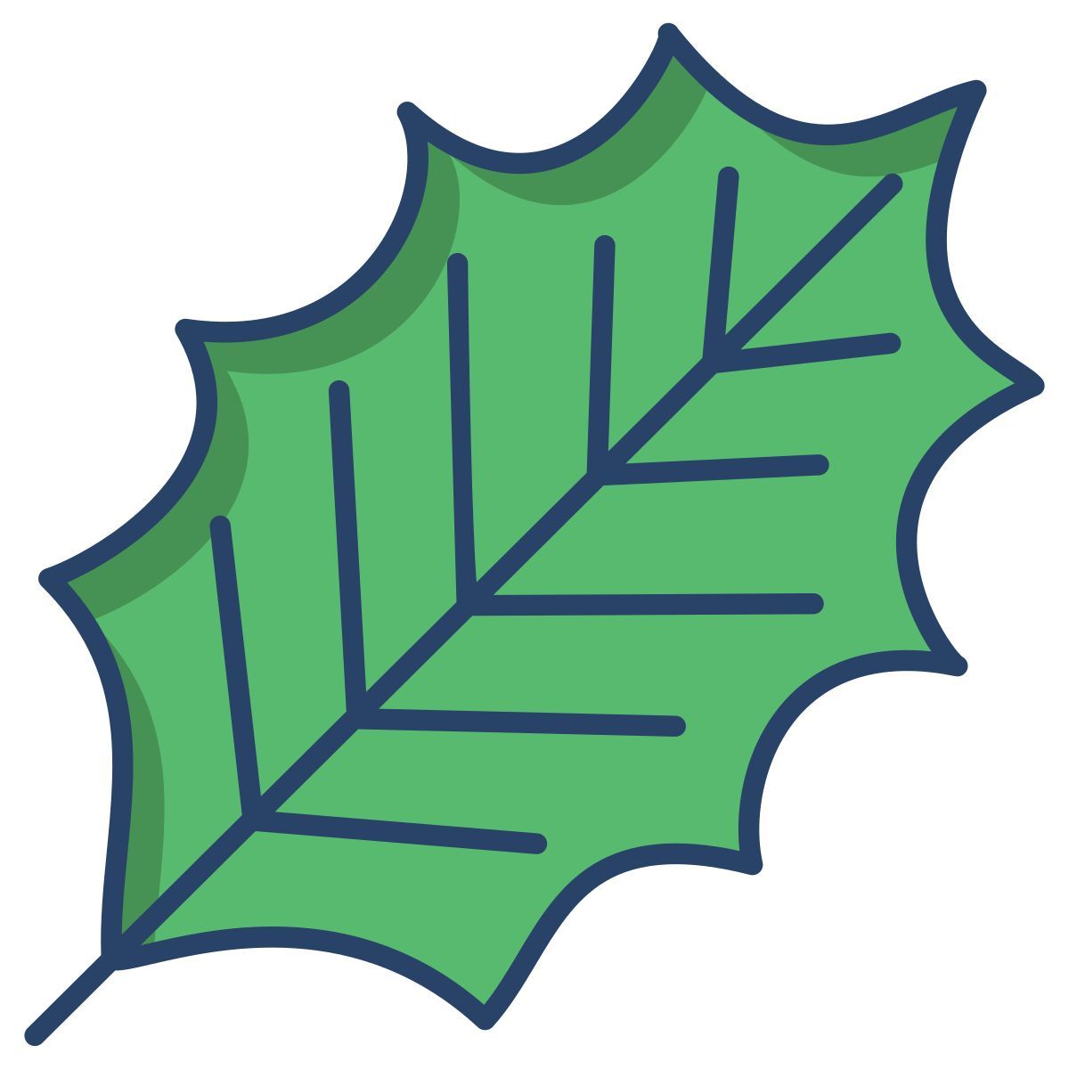 american holly leaf icon