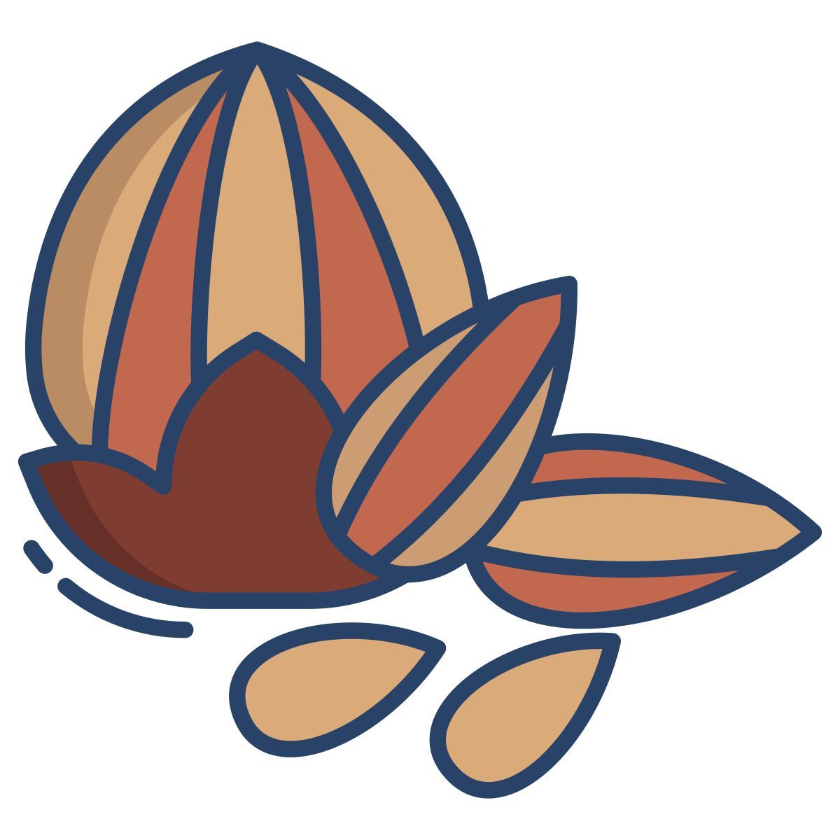 badam and walnut icon