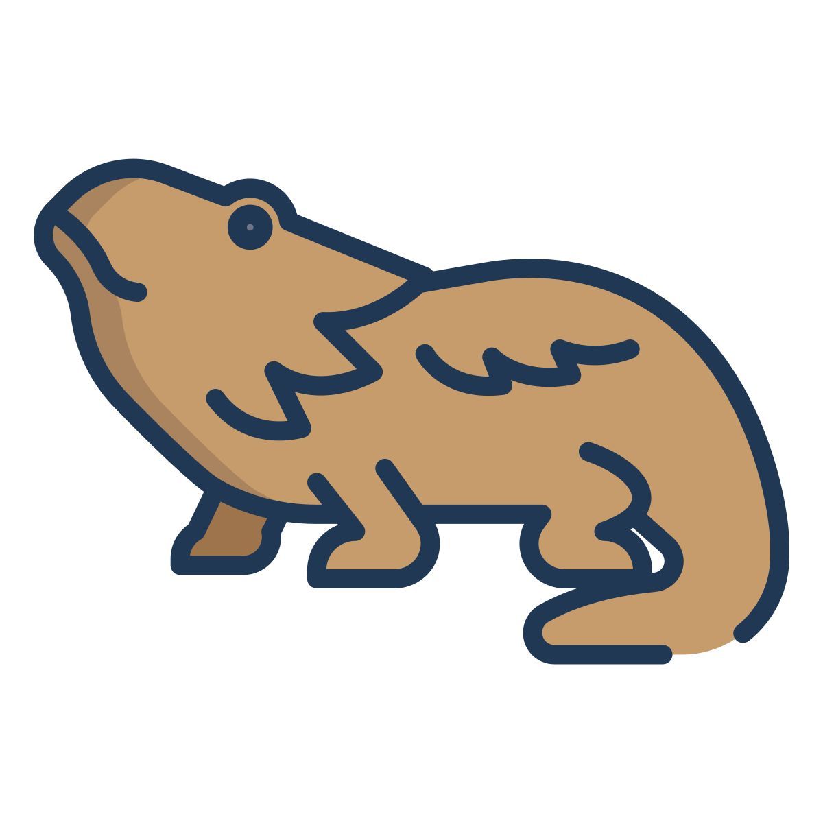 bearded dragon icon