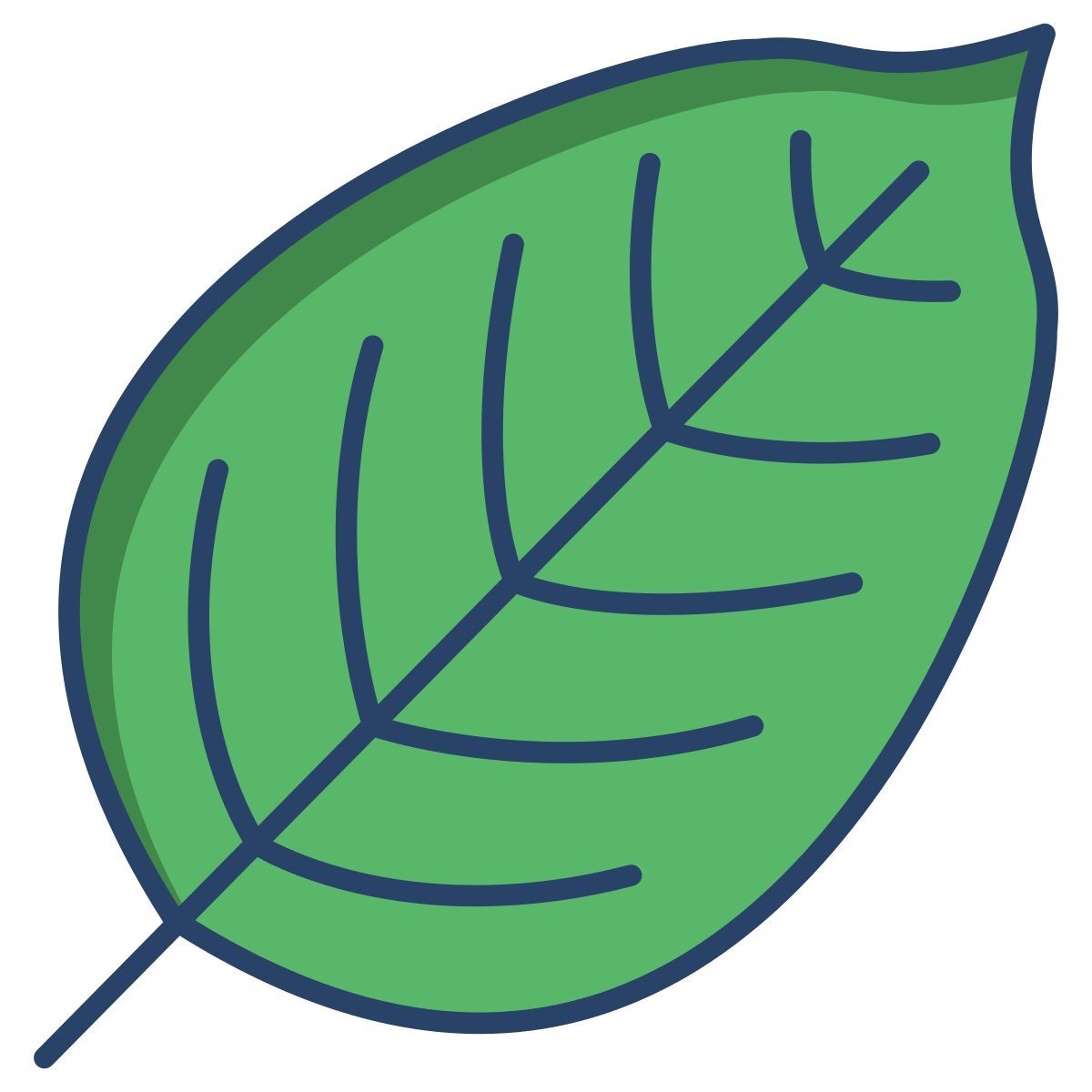 beech leaf icon