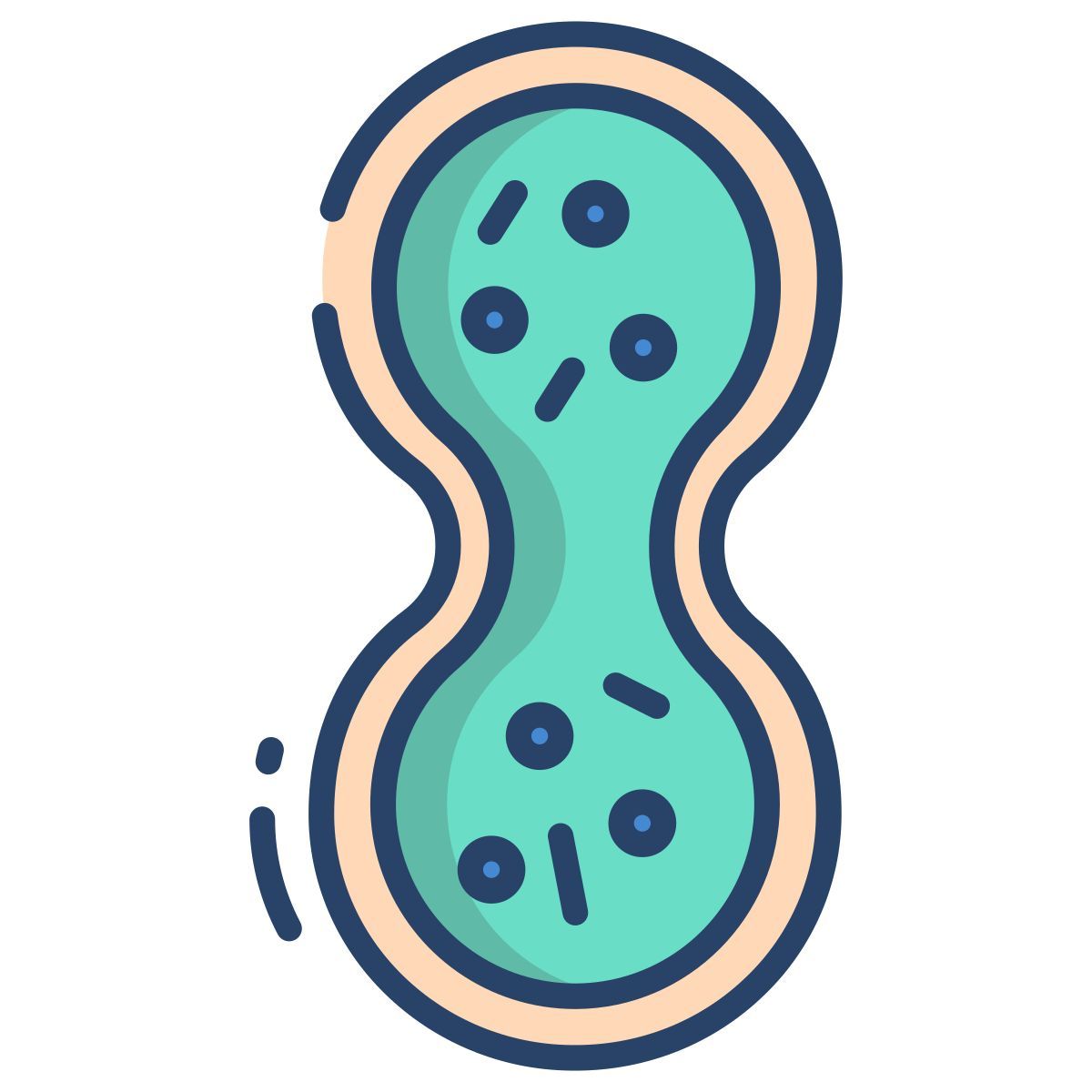 biology icon