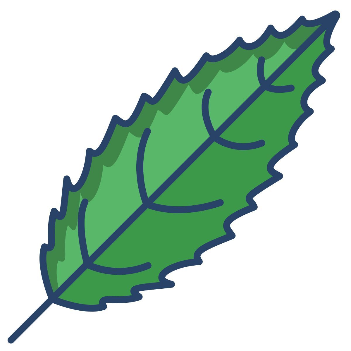 black cherry leaf icon
