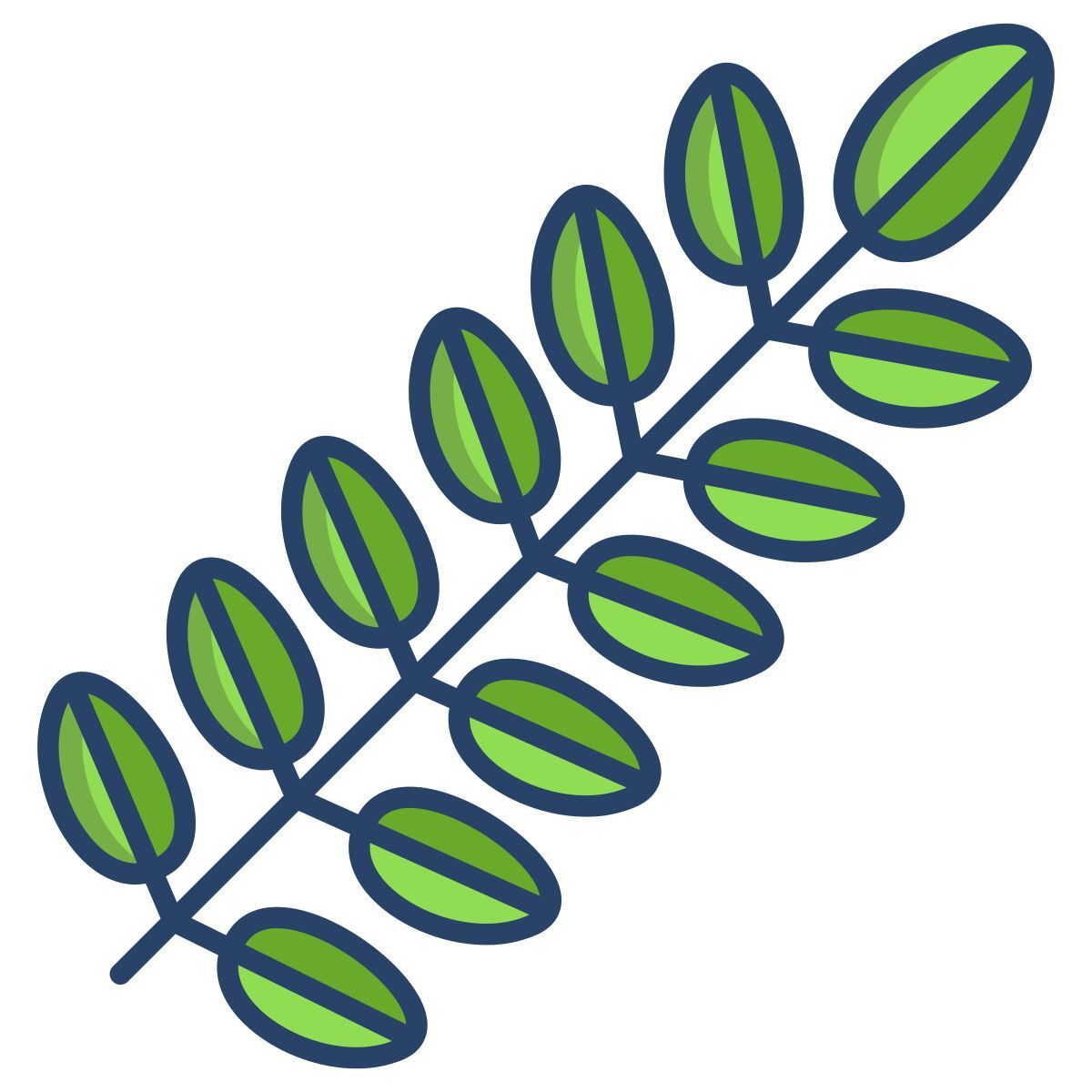 black locust leaf icon