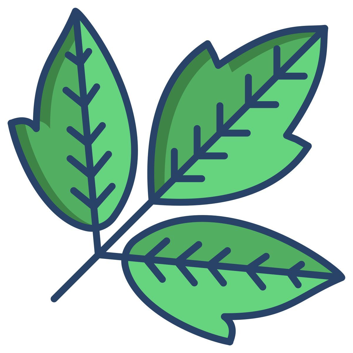 box elder leaf icon
