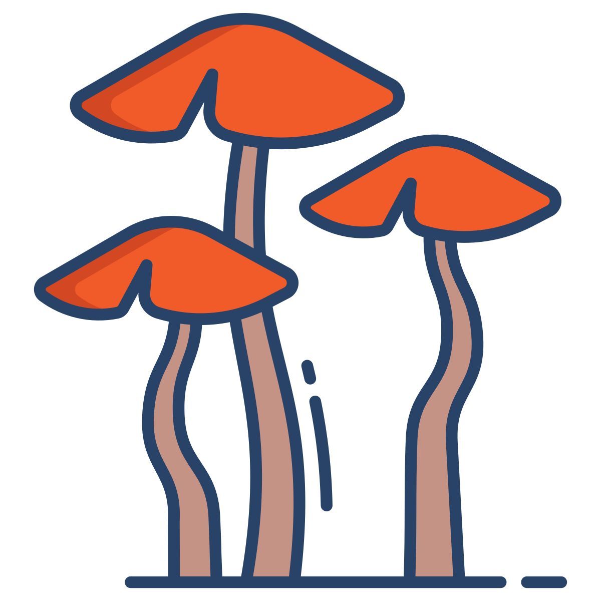 brown cap boletus icon