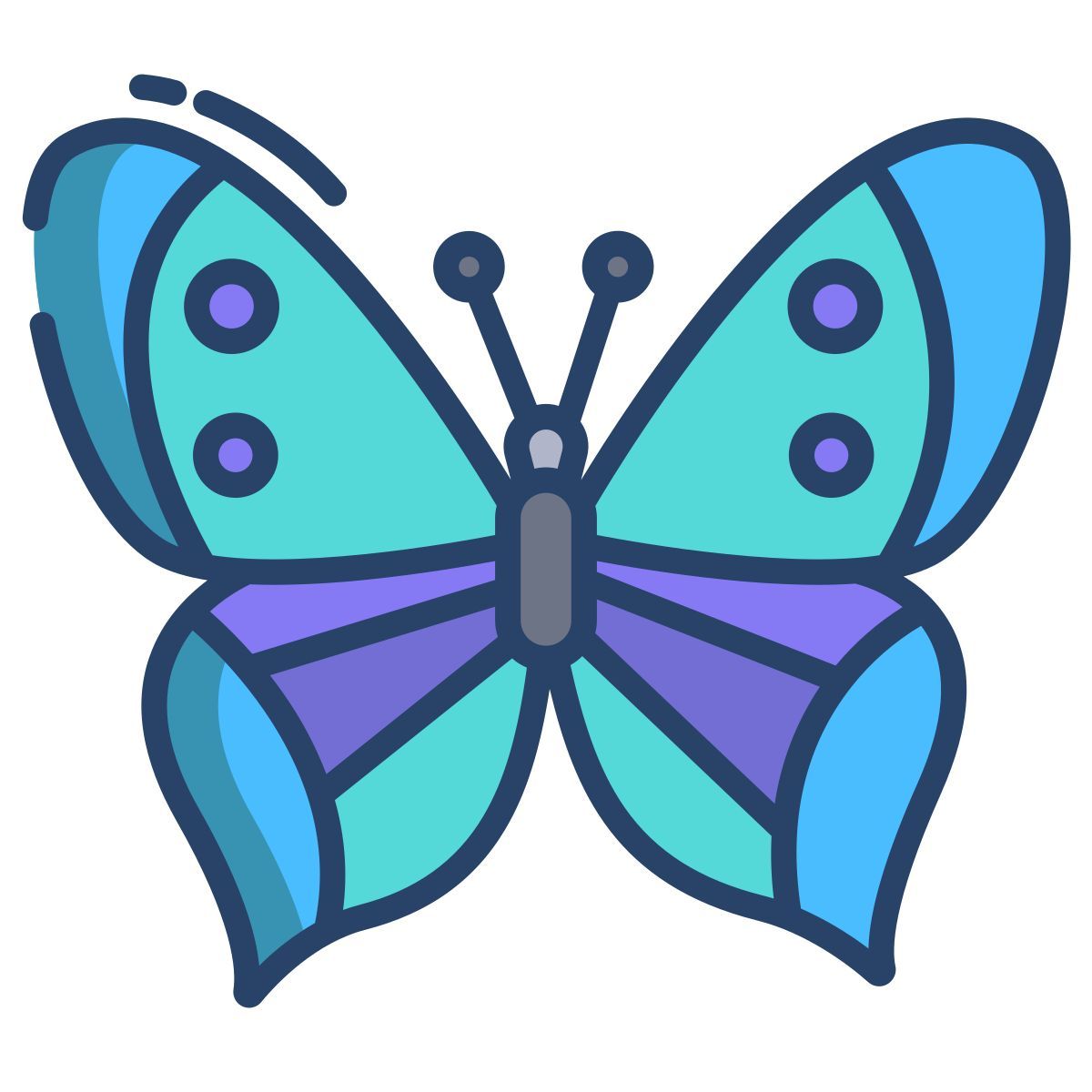 butterfly icon