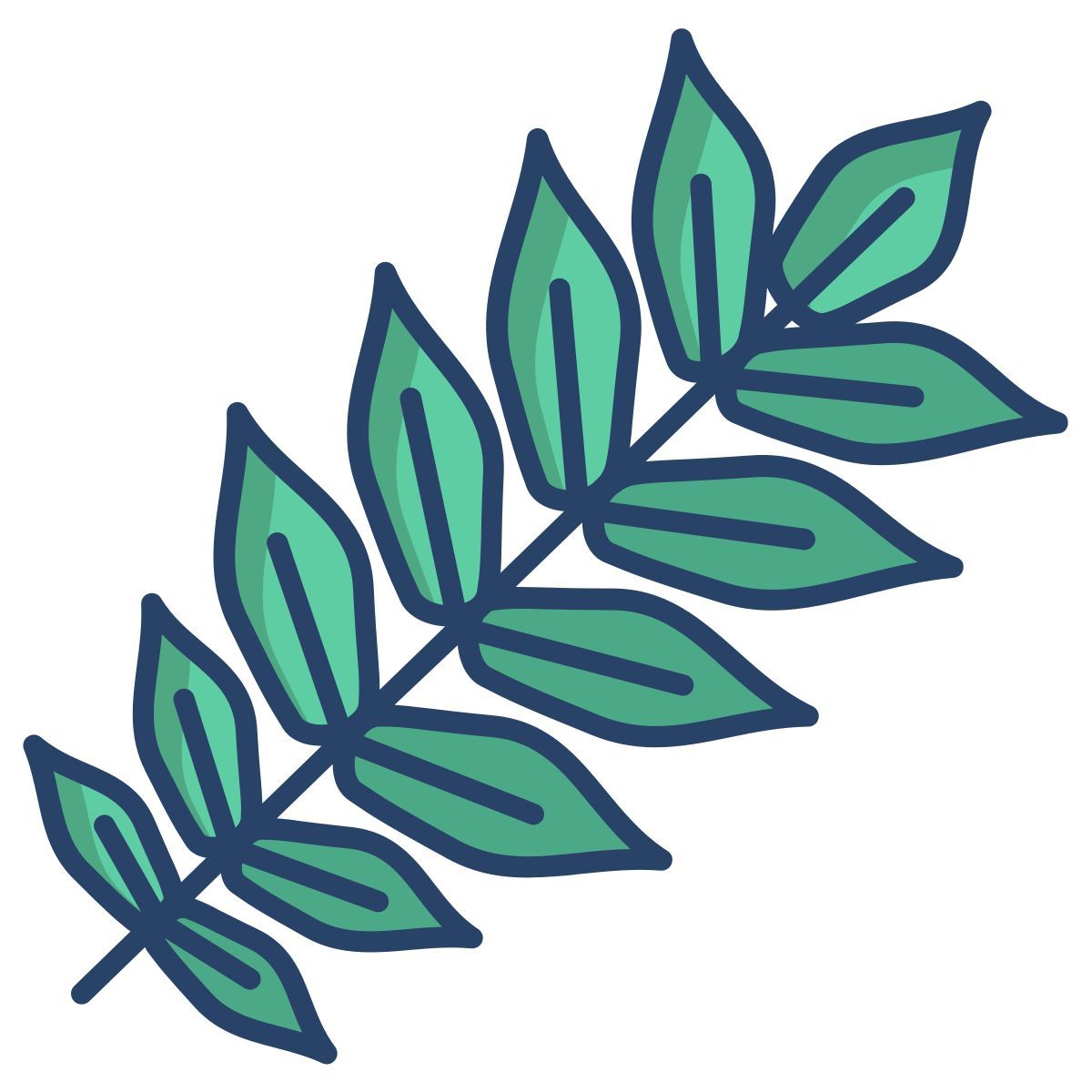 butternut leaf icon
