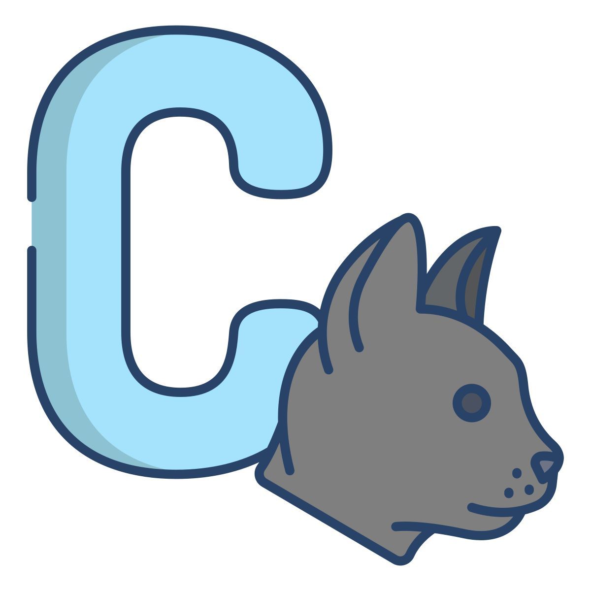c icon
