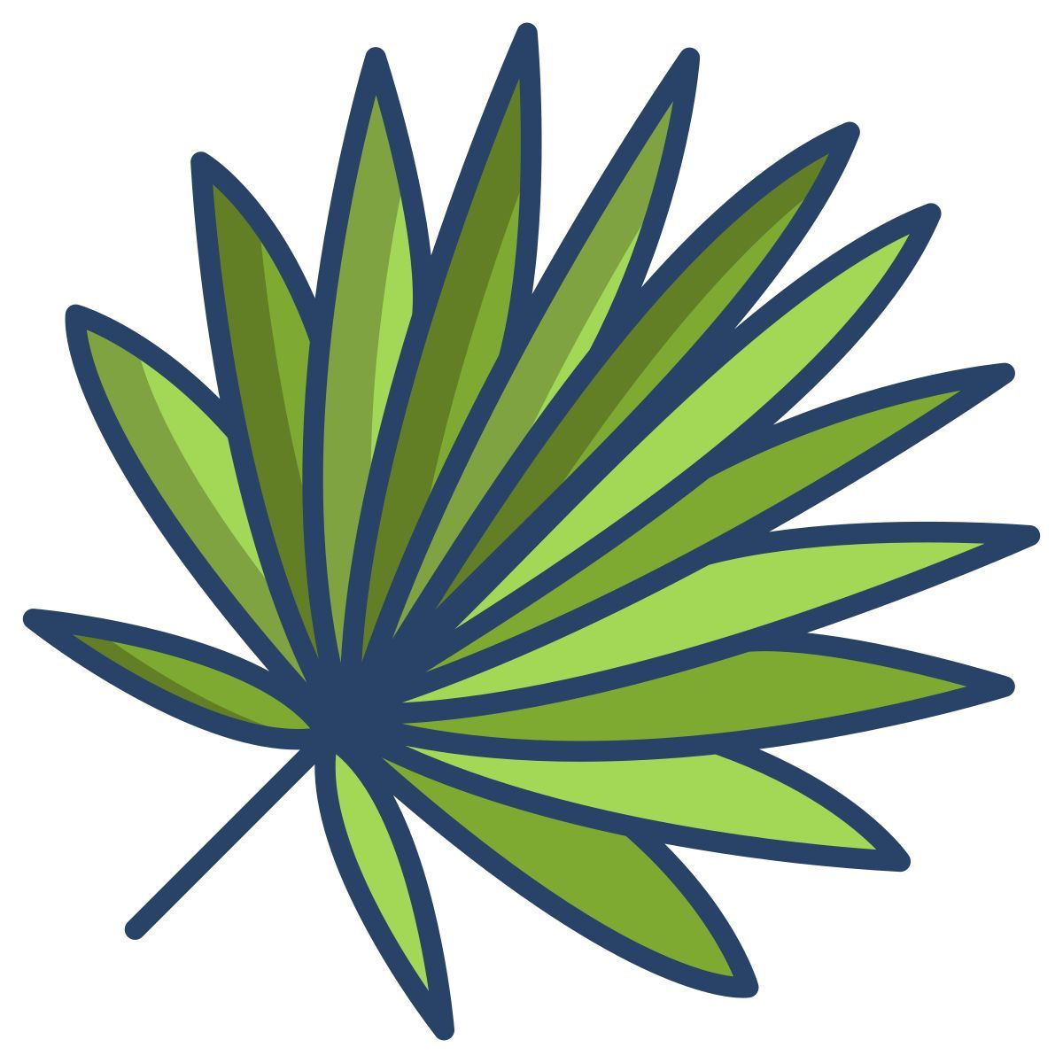 cabbage palmetto leaf icon