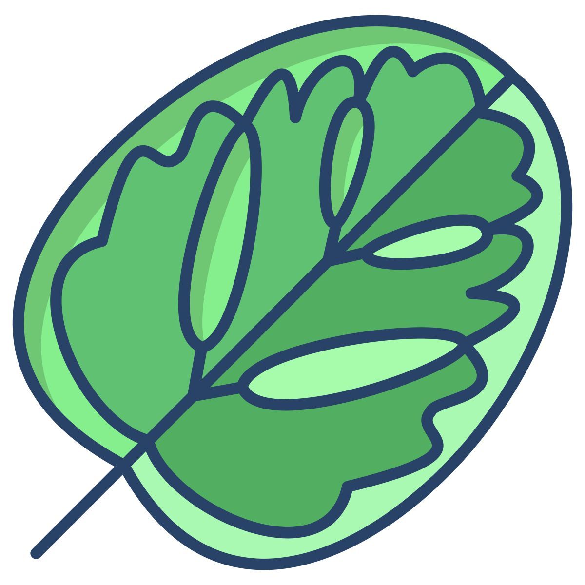 calathea leaf icon