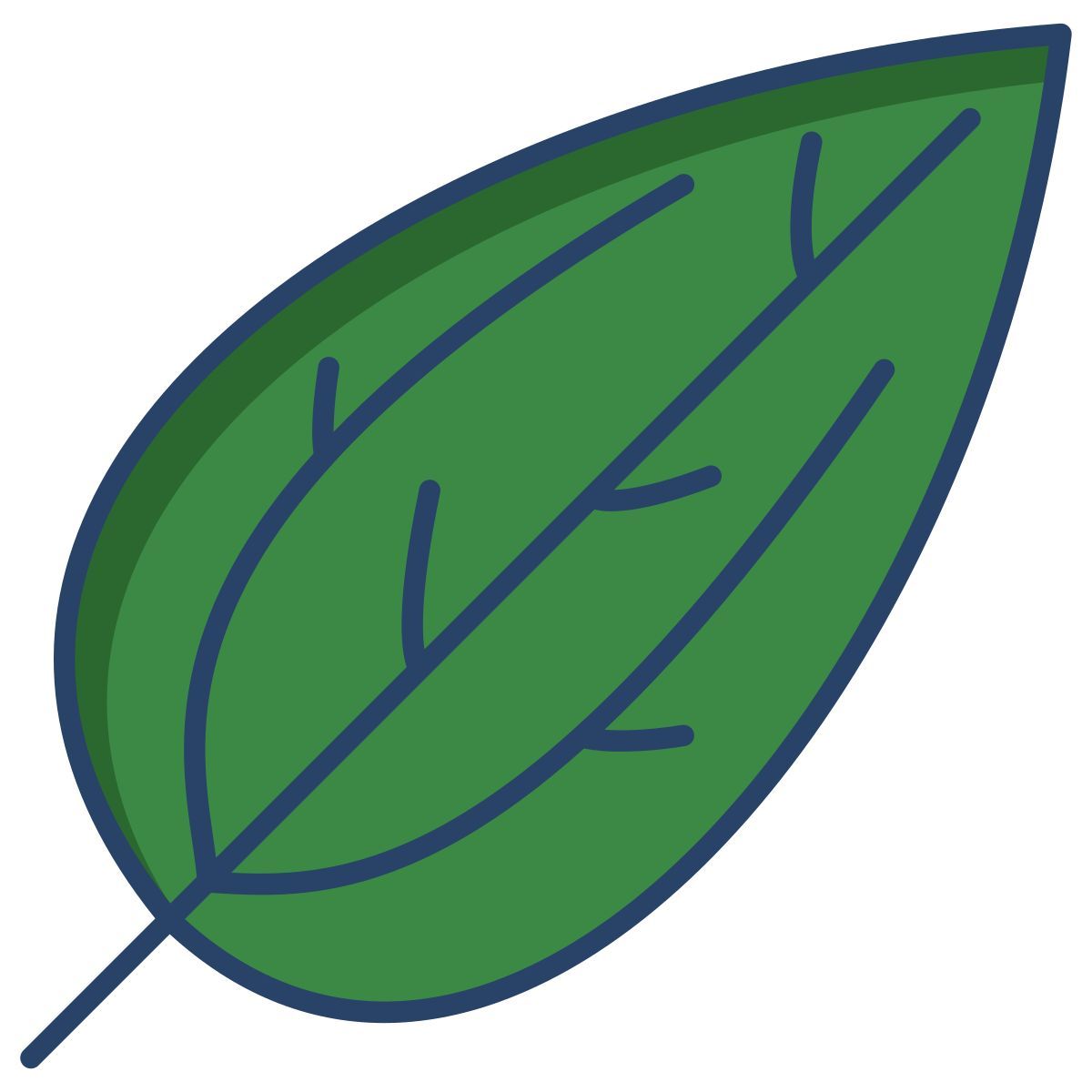 camphor leaf icon