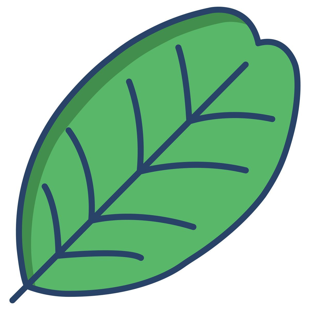 carob tree leaf icon