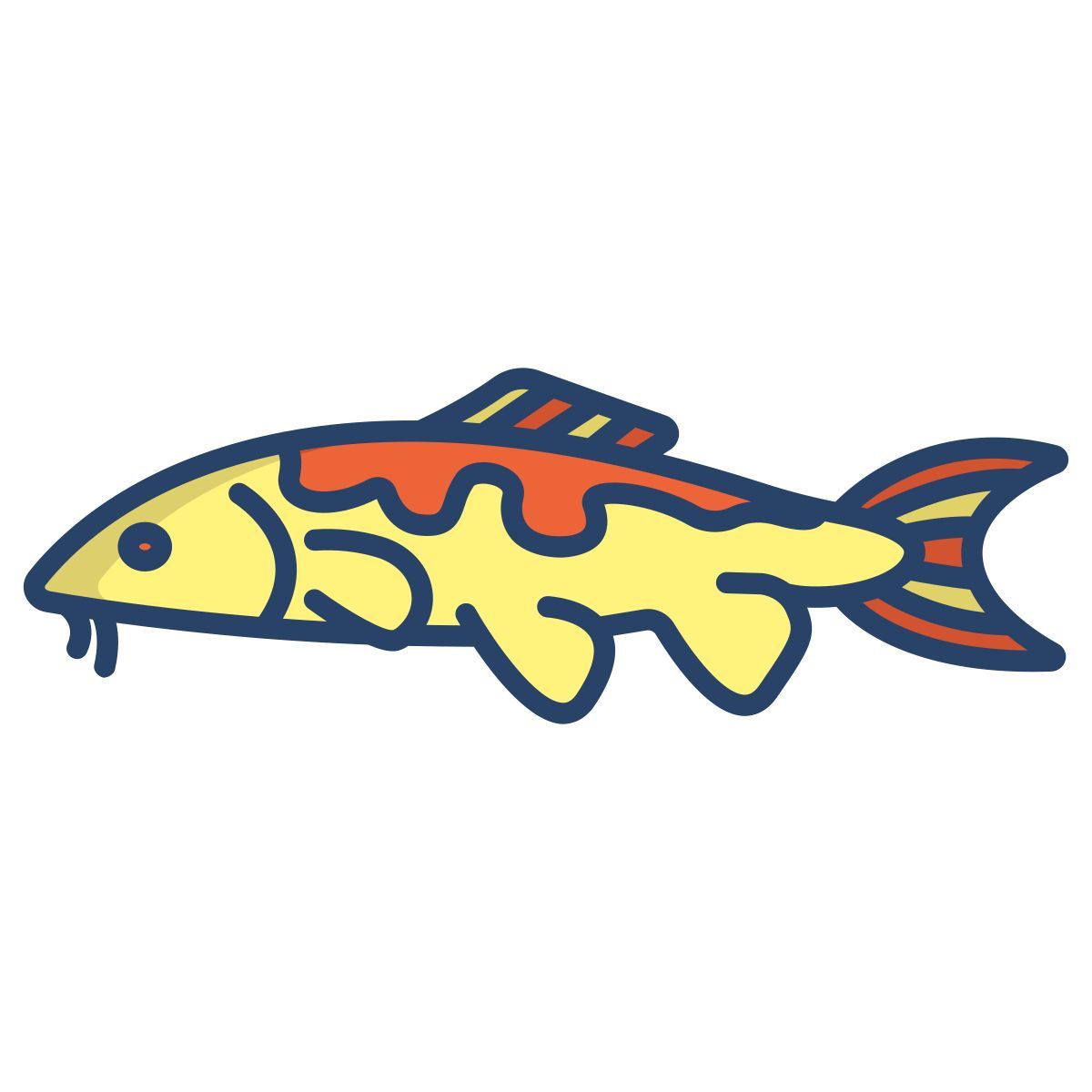 carp koi fish icon