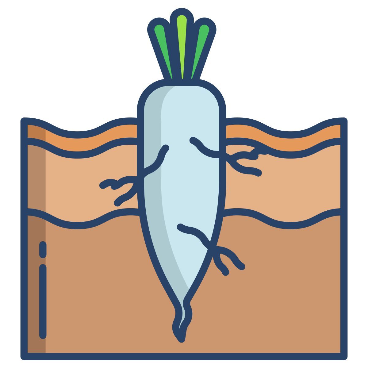 carrot icon