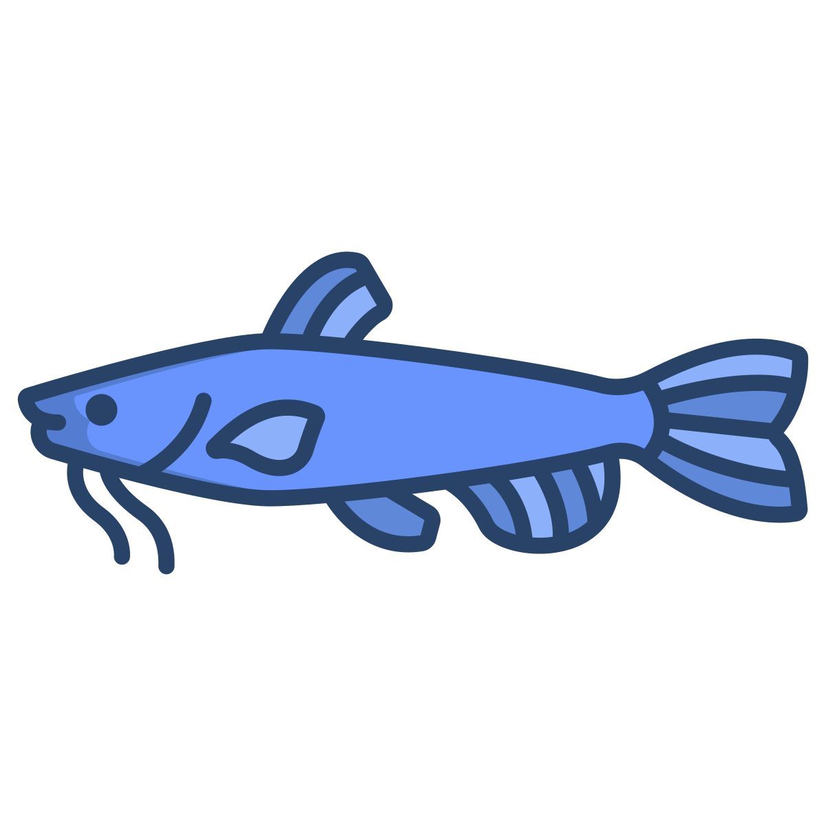 cat fish icon