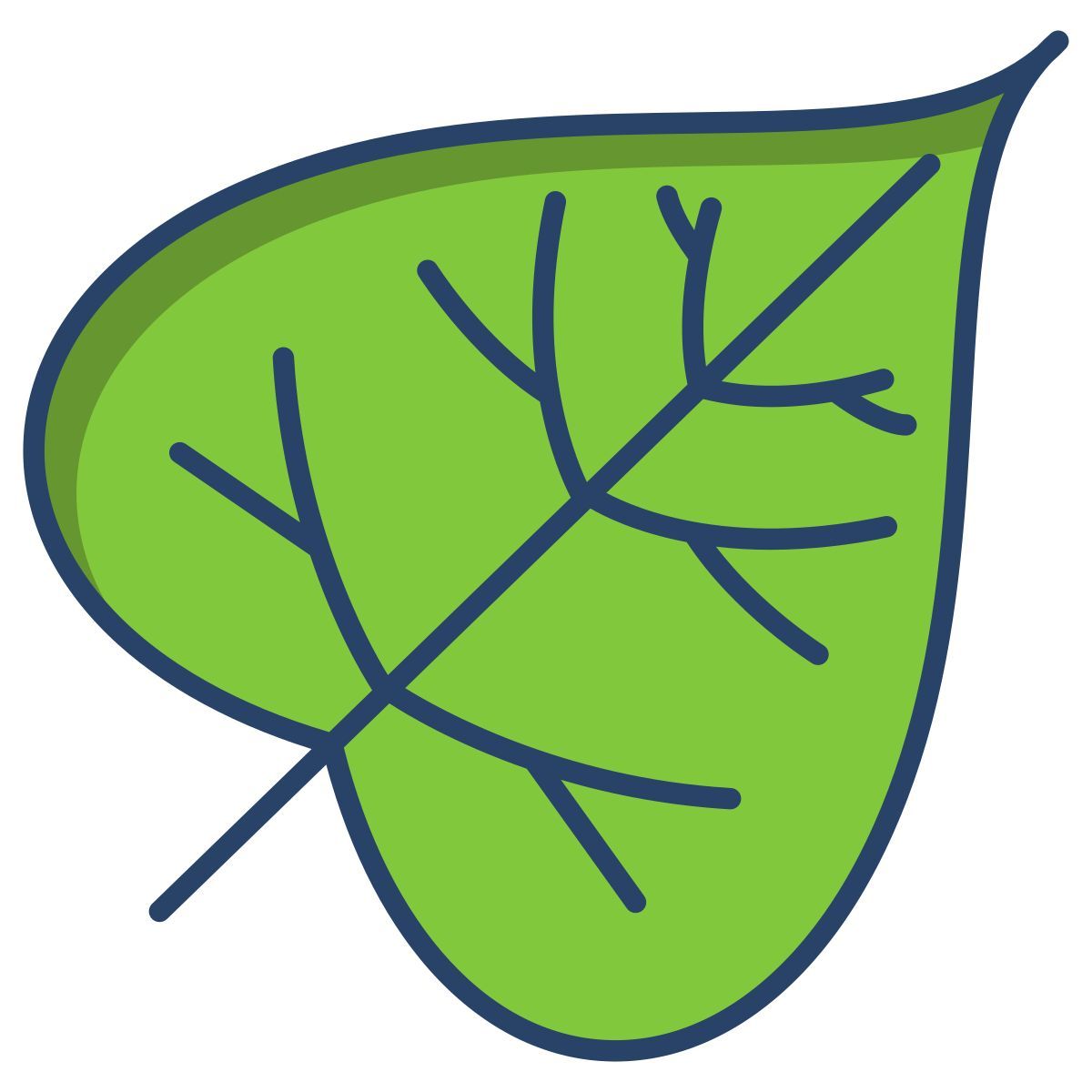 catalpa leaf icon