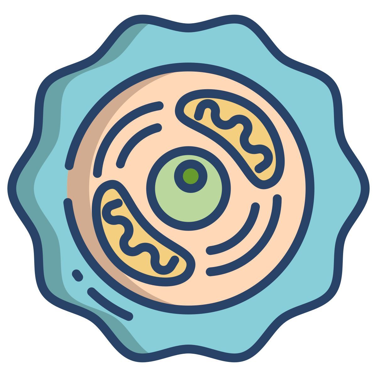 cell biology icon
