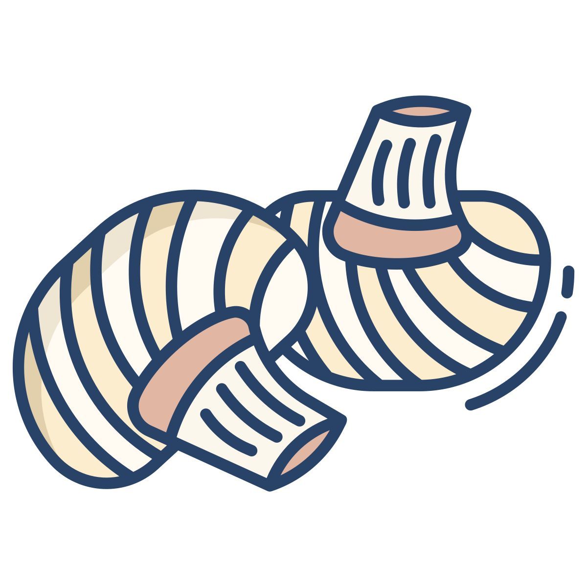 champignon mushrooms icon