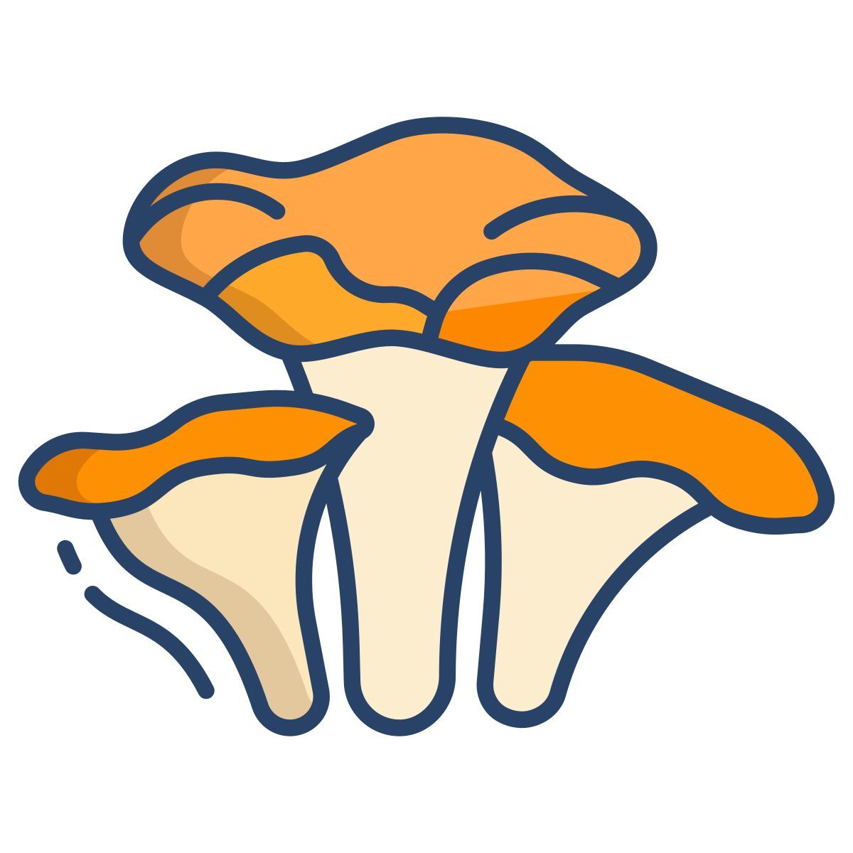 chanterelle mushrooms icon