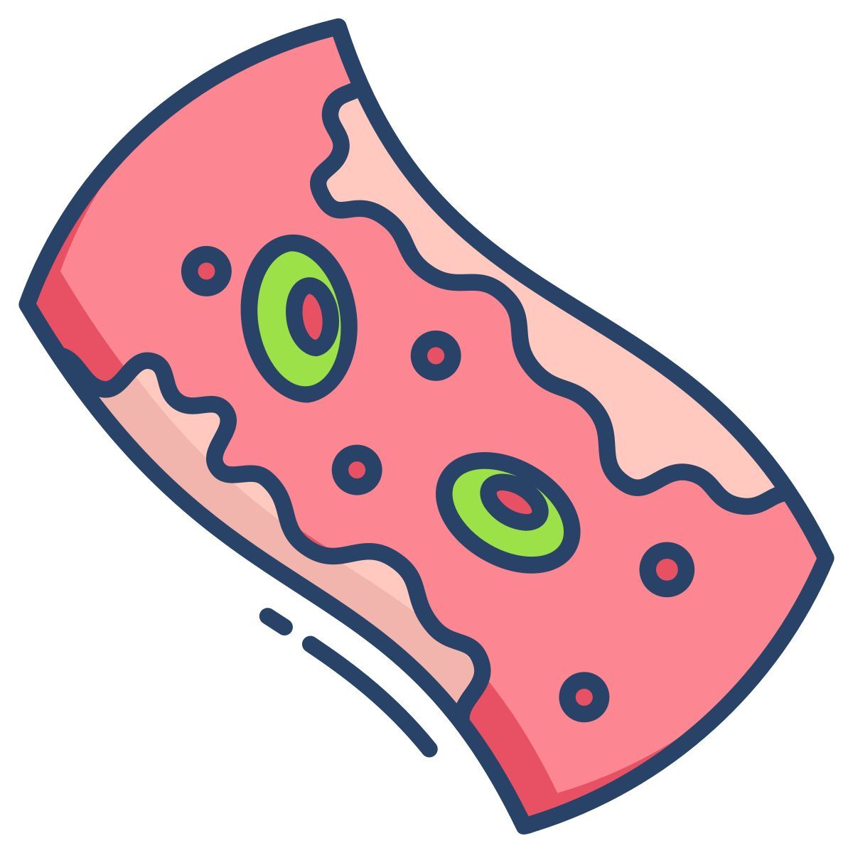 cholesterol icon