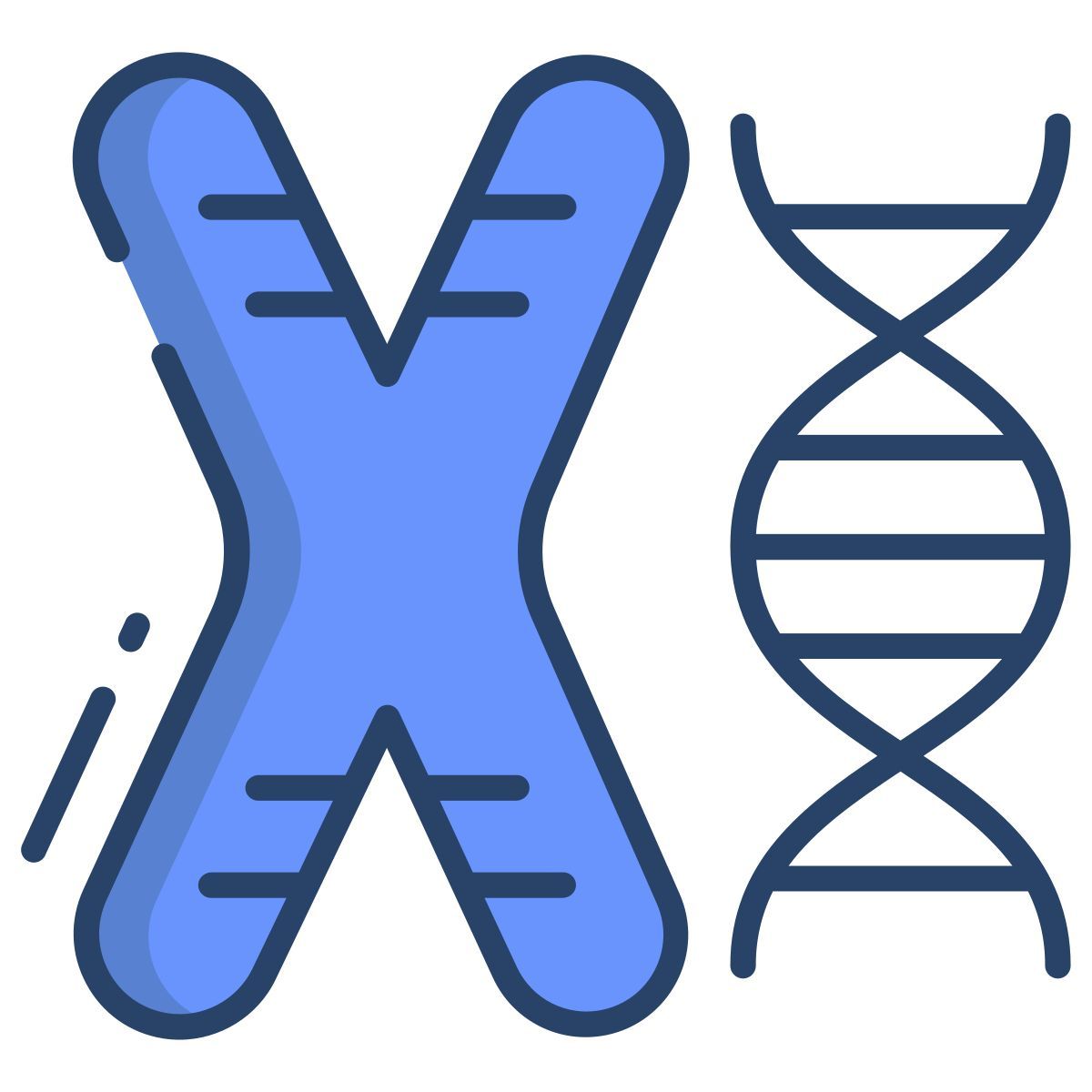 chromosome icon