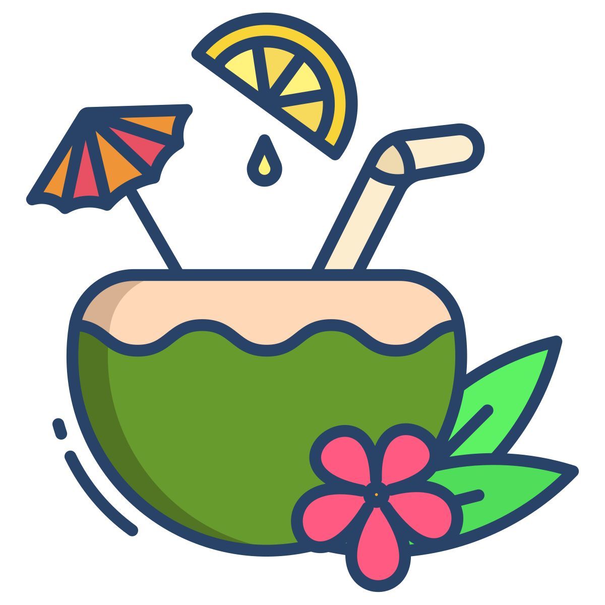 coconut drink icon