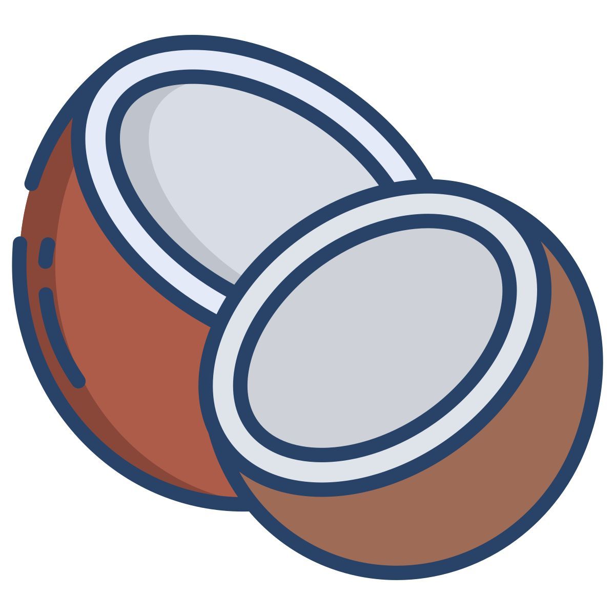 coconut icon