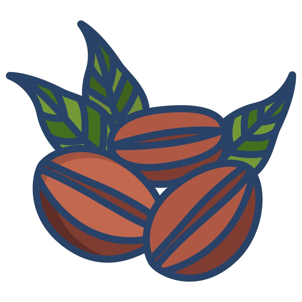 coffee beans icon