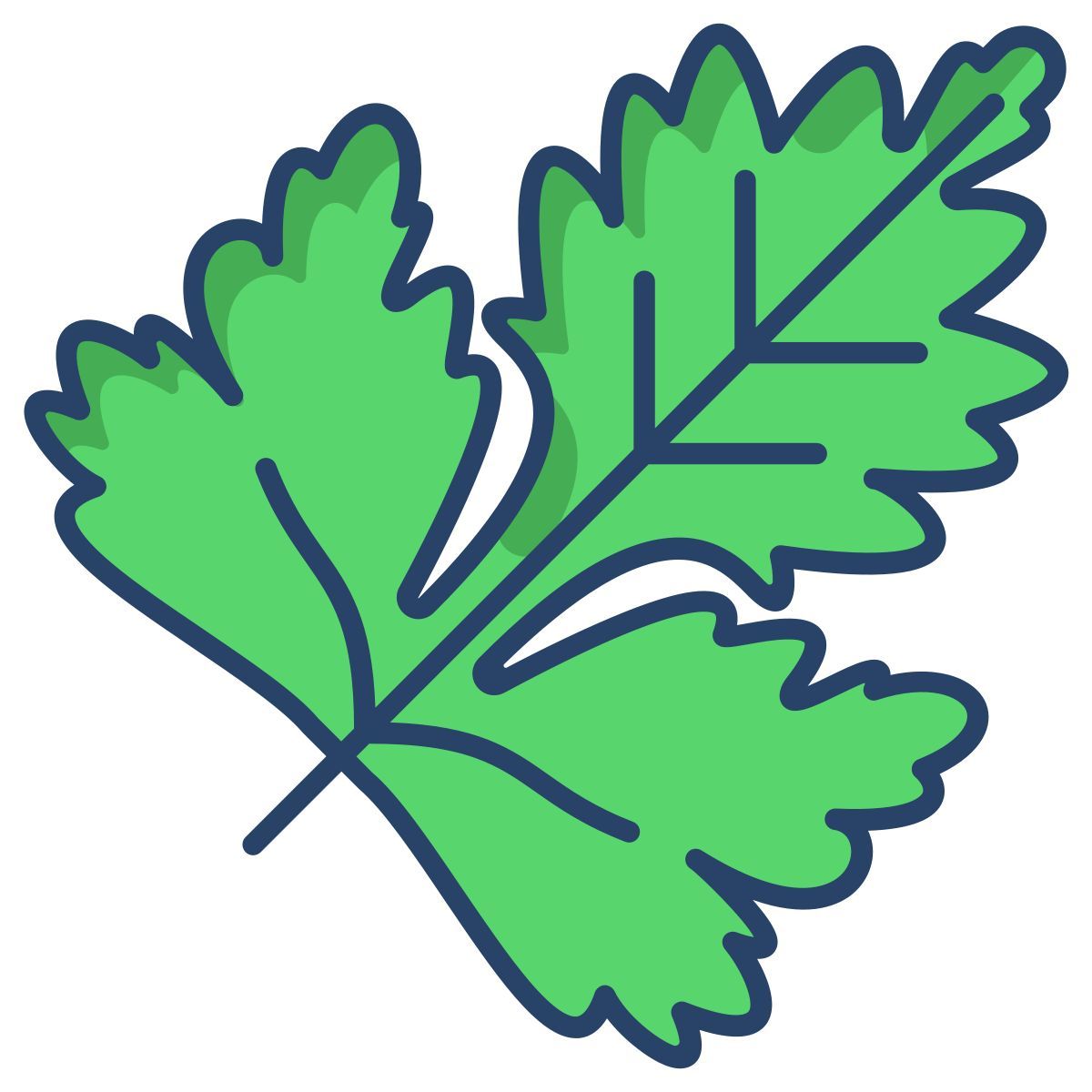 coriander leaf icon