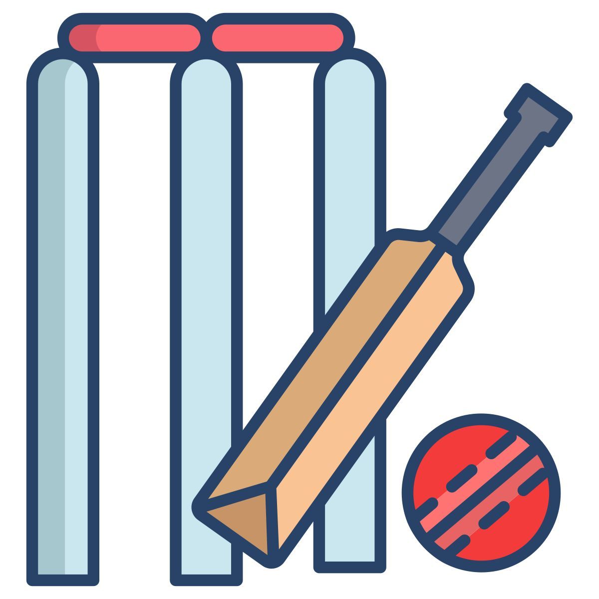 cricket icon