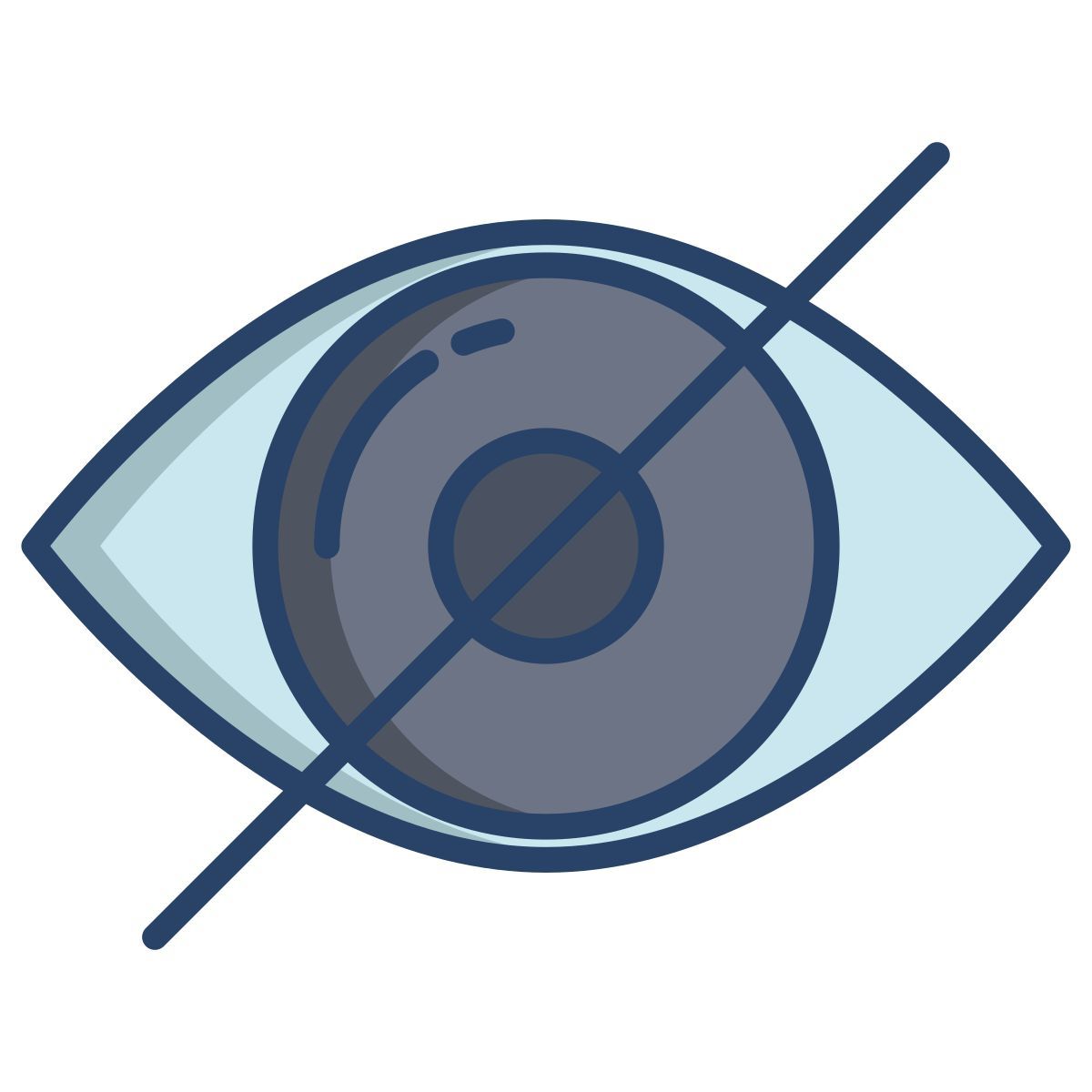 crossed eye icon