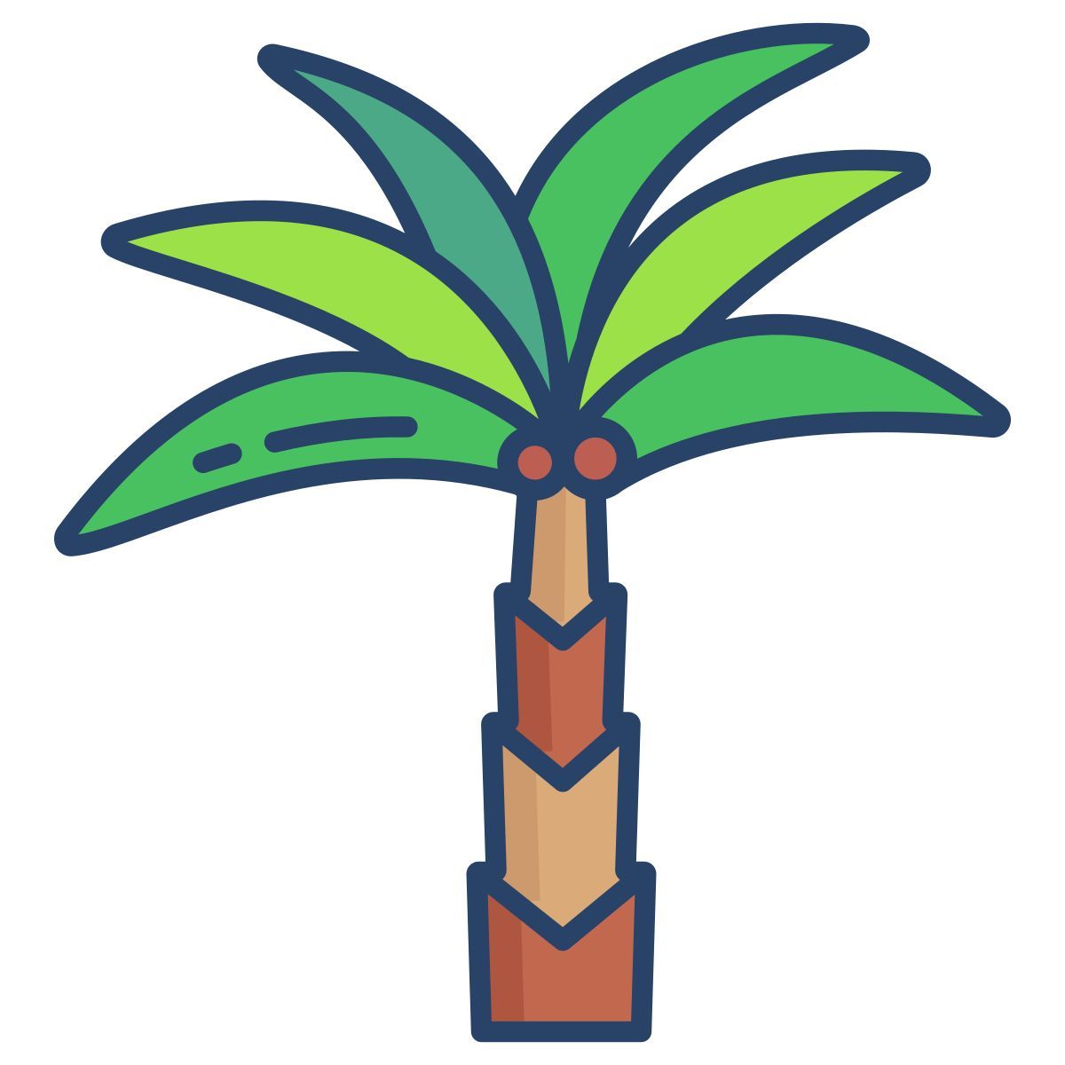 date palm icon