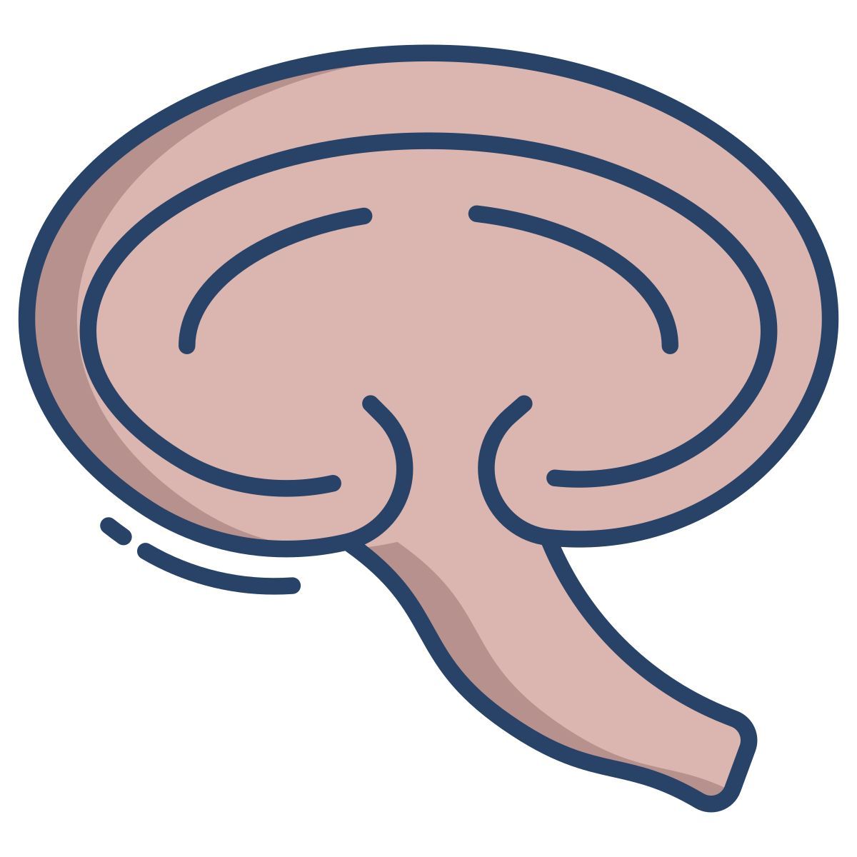 decay fungi icon