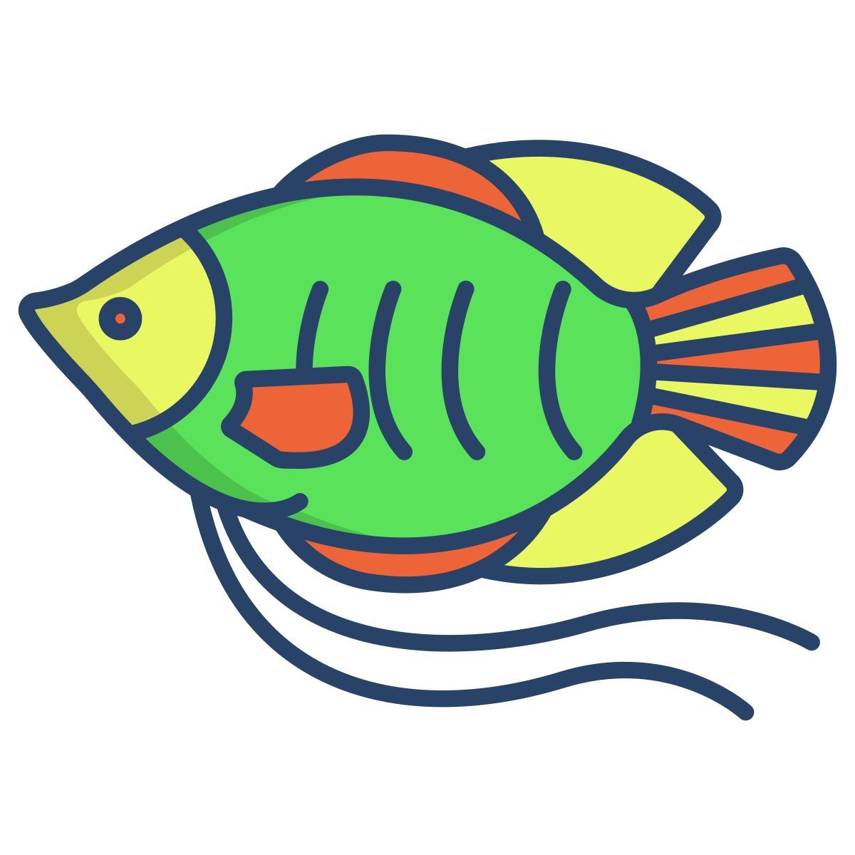 dwarf gurami fish icon
