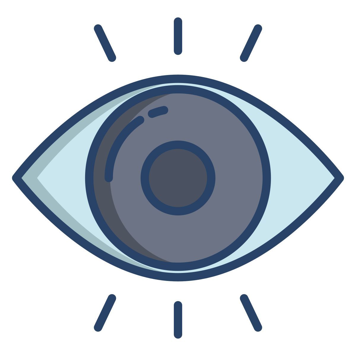 eye icon