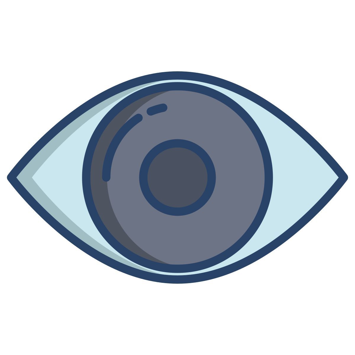 eye icon
