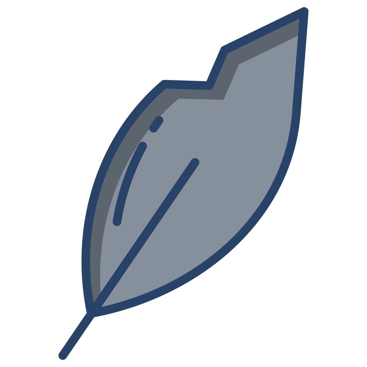 feather icon